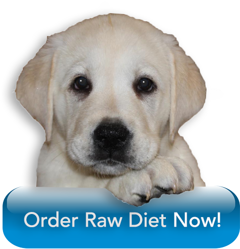 Order Raw Diet From Barf World - Diet (526x529), Png Download