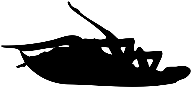 Papa Roach Image - Papa Roach Roach Logo (800x310), Png Download