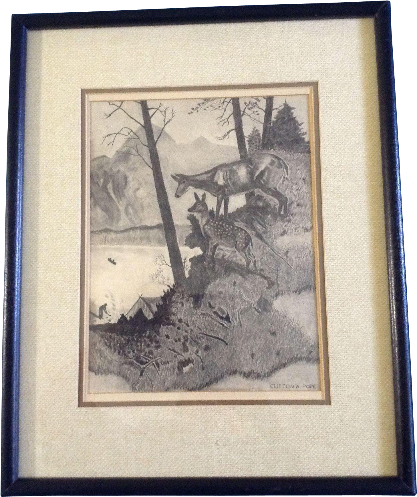 Pope, Two Deer Watching The Campers, Pencil Drawing - Drawing (1737x1737), Png Download