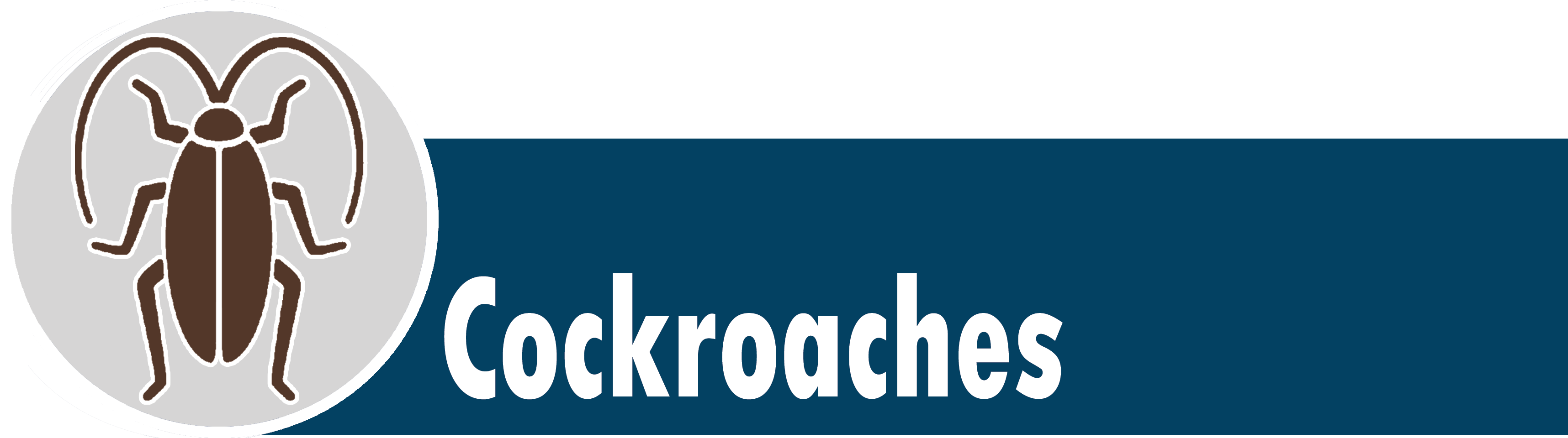 Roachl - Cockroach (3440x980), Png Download