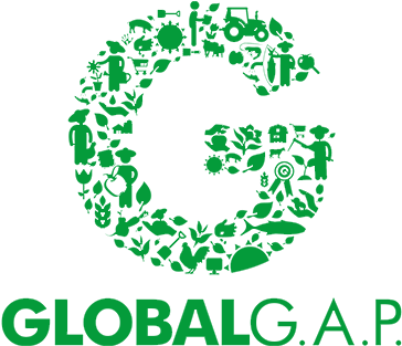 Glogogreenrgb - Global Gap (403x349), Png Download
