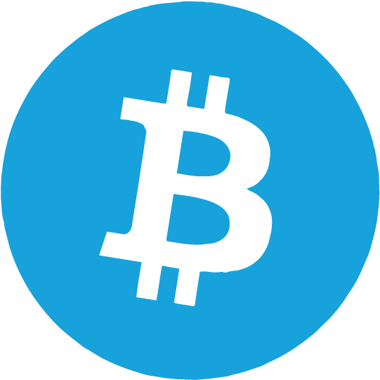 Bitcoin Btc Icon - Bitcoin Logo Necklace Circle Charm (721x721), Png Download