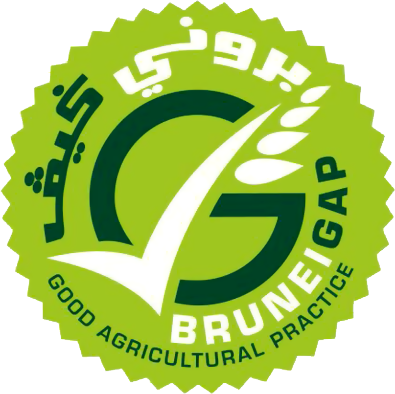Brunei Gap Logo - Brunei Gap (807x806), Png Download