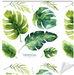 Hand Drawn Watercolor Tropical Plants Set - Brazilian Tropical Plant (400x400), Png Download