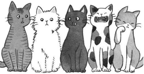 We Are Looking For New Members Btw Take A Look Here - Cats Drawings (500x257), Png Download