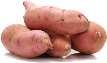 Sweet Potatoes 250g - Sweet Potato Scientific Name (442x300), Png Download