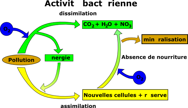 Free Vector Elimination Of Pollution Clip Art - Pollution Clipart (600x345), Png Download