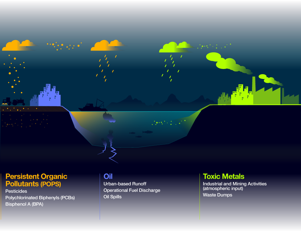 Vector Transparent Download Chemical Health Index Infographic - Chemical Pollution (977x750), Png Download