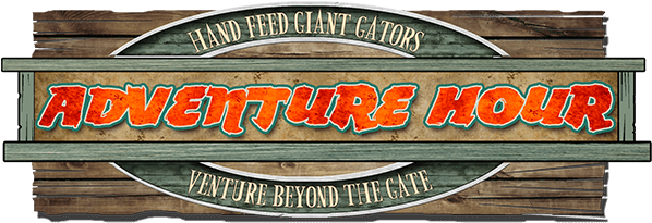 Adventure Hour (600x400), Png Download