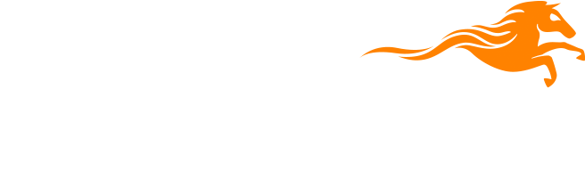 Mustang The Supreme Barbecuing Experience - Mustang Grilli Logo (728x200), Png Download