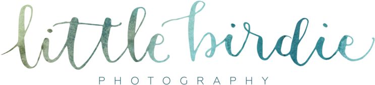 Little Birdie-01 - Calligraphy (800x349), Png Download