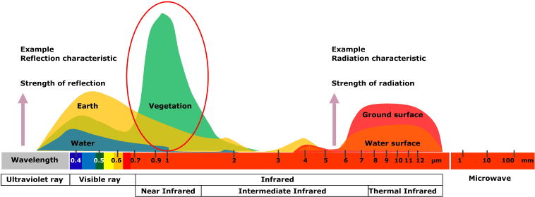 Fw Homepage Why Firewatch Today Night Png - Portable Network Graphics (884x472), Png Download