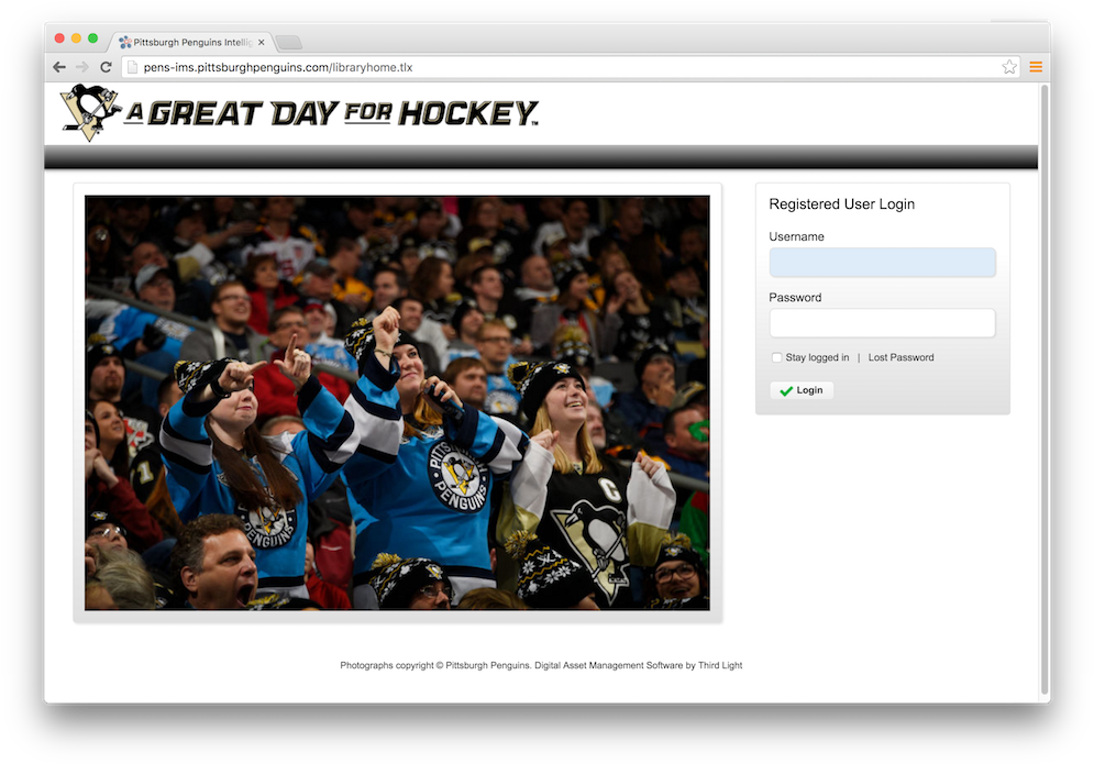 Pittsburgh Penguins (1000x704), Png Download