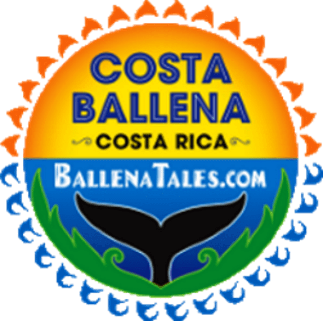 Ballena Tales Magazine And Costa Ballena Travel Guide - Monogram Polka Dot Circle (651x648), Png Download