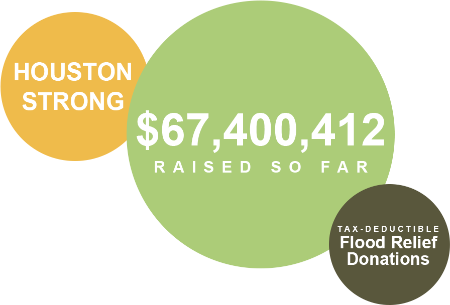 Nicole Browning Liked This - Greater Houston Community Foundation (900x627), Png Download