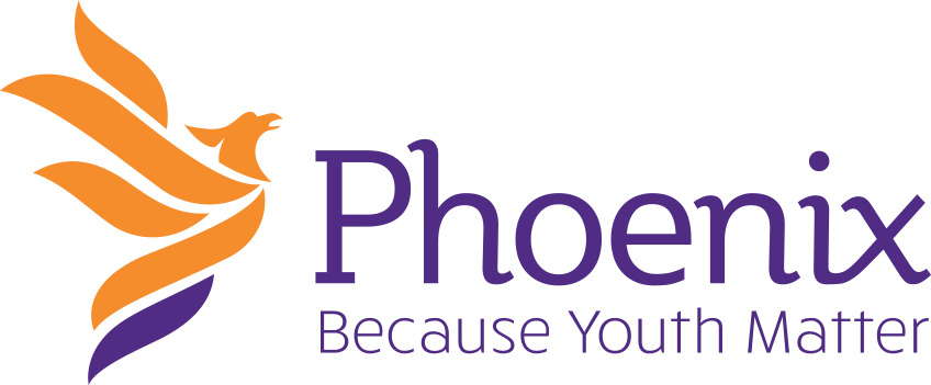Background - Phoenix Youth Programs (848x351), Png Download