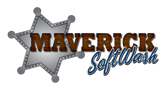 Cutting-edge Training Opportunities Bring Maverick - Wood (550x300), Png Download