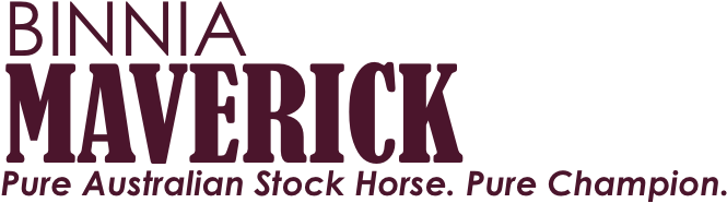 Binnia Maverick Pure Australian Stock Horse - Blue Necktie And Blue Stripes Father's Day Greeting (672x195), Png Download