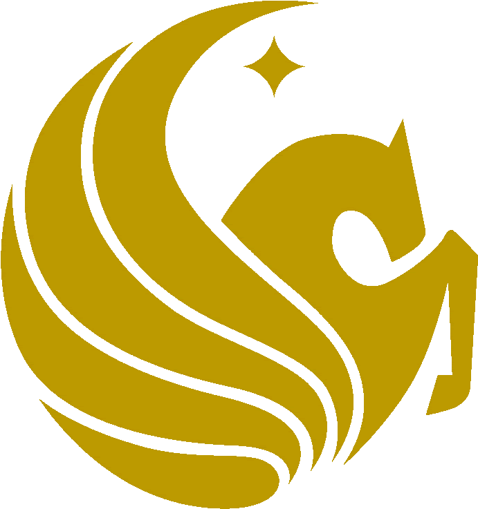 Reu - Summer - University Of Central Florida (732x787), Png Download