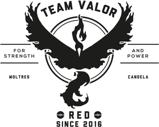 Go Team Valor - Pokemon Go Team Valor T Shirt (571x495), Png Download