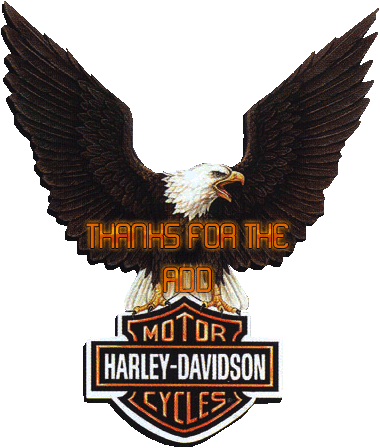 Thanks For The Add, Harley Davidson Harley Davidson, - Harley Davidson Eagle Logos Tattoos (380x448), Png Download