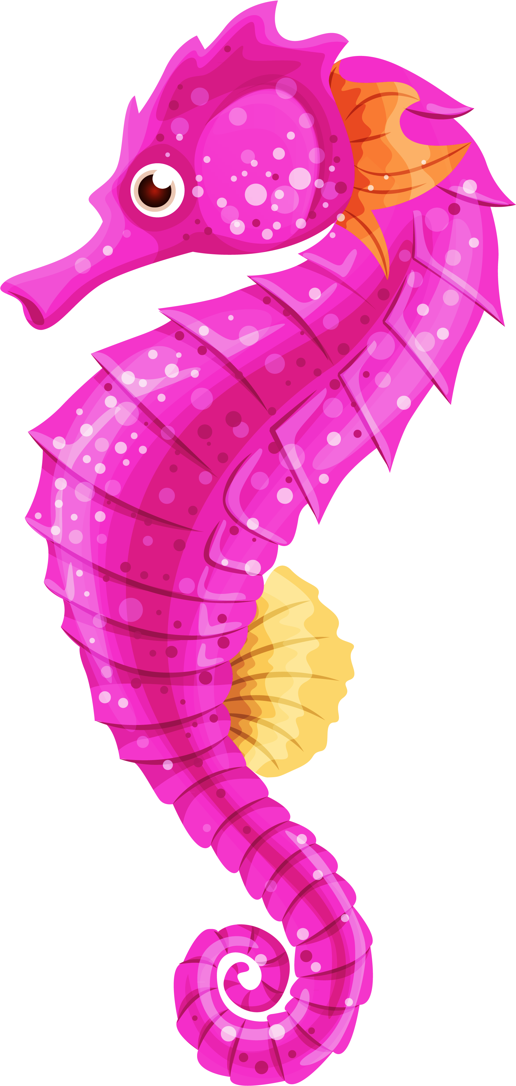 Seahorse Png Clip Art - Clipart Seahorse (1896x3851), Png Download
