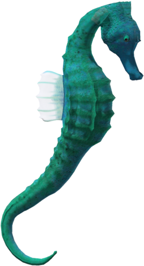 Clipart Best Seahorse Free Images - Seahorse With No Background (1024x639), Png Download