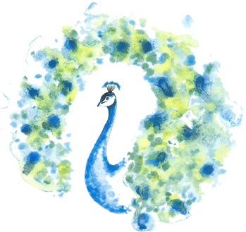 Avsara Avsara Avsara Avsara - Peafowl (359x338), Png Download