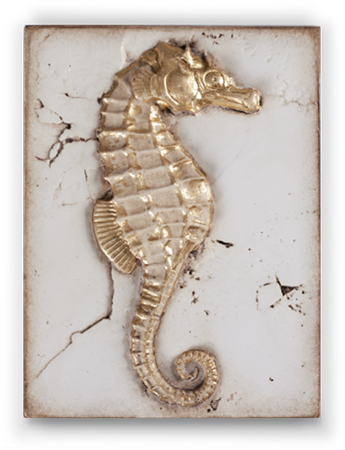 Ocean's Gift No Image Available - Sid Dickens Oceans Gift (345x450), Png Download