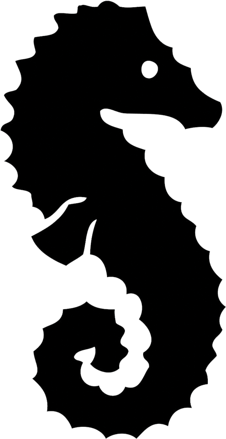 Seahorse Picture - Caballo De Mar Celta (1500x1500), Png Download