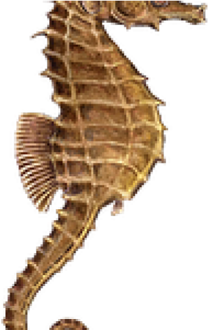 Kissing Seahorses Ornament (round) (640x480), Png Download