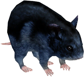 Djungarian Hamster 5 - Wiki (347x347), Png Download