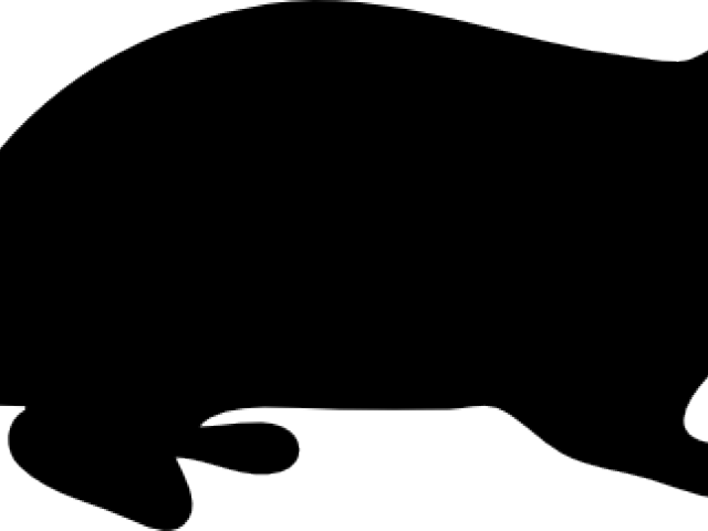 Fish (640x480), Png Download