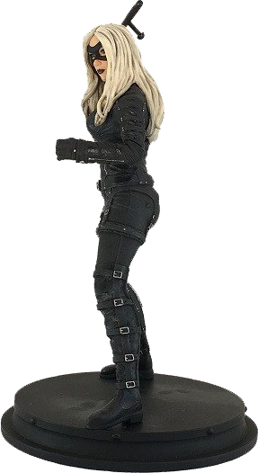 Arrow - Black Canary (287x526), Png Download