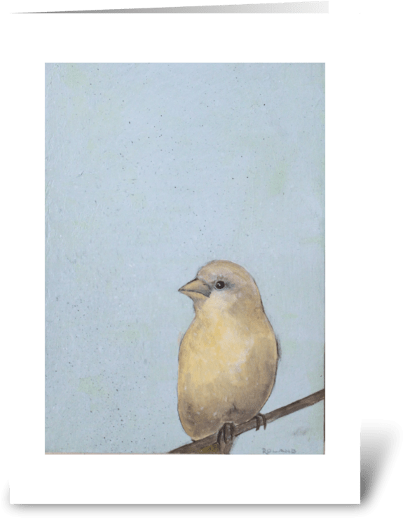 Canary On Blue Greeting Card - Old World Flycatcher (700x792), Png Download