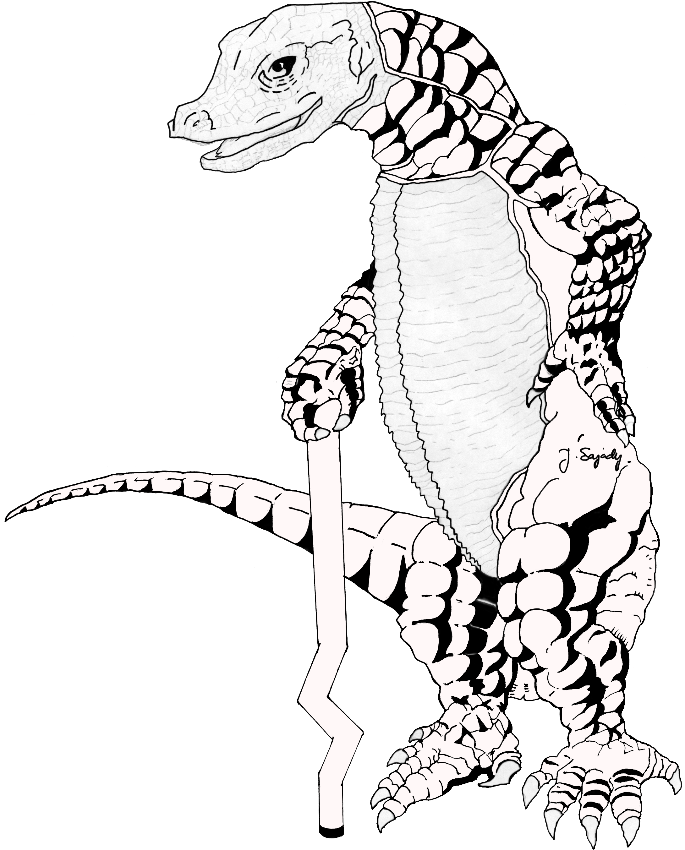 Toothless Reptiles - Salvator Varanus Drawing (2186x2726), Png Download