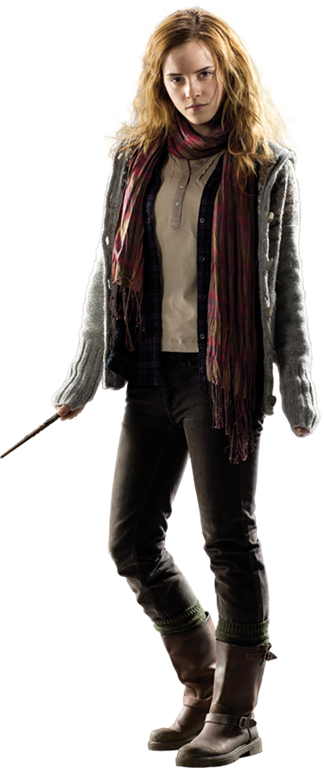 Png Hermione Granger - Harry Potter And The Deathly Hallows - Group - Harry, (324x768), Png Download