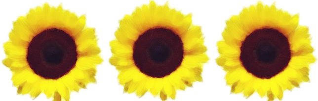 Png Freeuse Download Border With Watercolors By Jeanicebartzen - Sunflower Border Transparent (651x203), Png Download