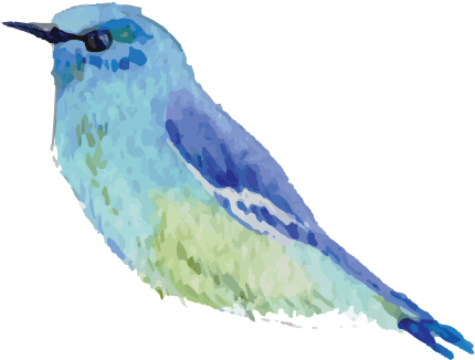 Star Of David Bracelet - Mountain Bluebird (486x469), Png Download