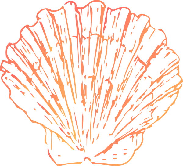 Fan Shell Dark Clip Art - Blue Seashell Clipart (600x544), Png Download