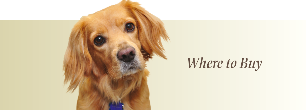 Charlee Bear Dog Treats And Bear Crunch Treats - Companion Dog (1188x427), Png Download