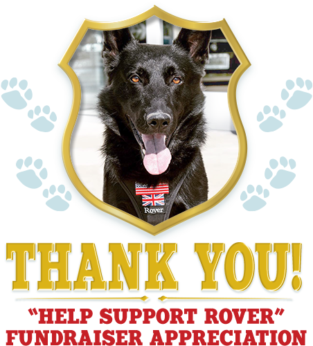 We Are Dedicated To Working With Local Veterinarians - Black And Gold (475x511), Png Download