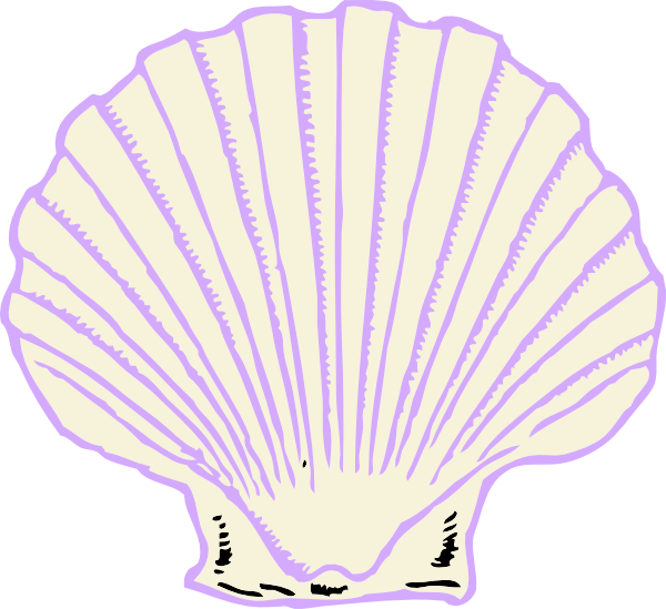 Shell Clip Art (600x549), Png Download