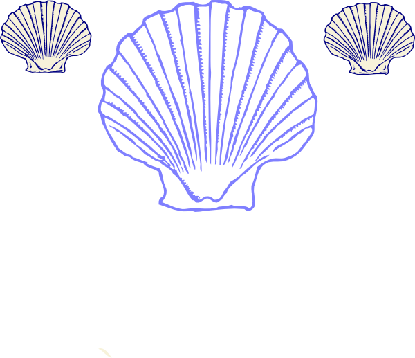 Original Png Clip Art File Three Shells Svg Images (600x517), Png Download