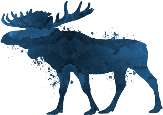 Bleed Area May Not Be Visible - Rainbow Moose (600x480), Png Download