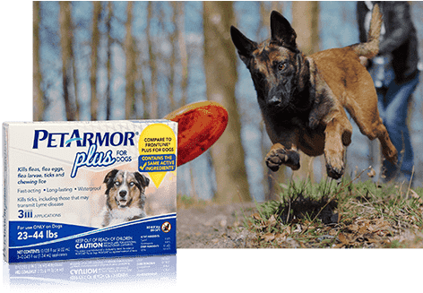 Dog Chasing A Frisbee - Petarmor Plus Flea, Tick & Lice Treatment, Licators (480x450), Png Download