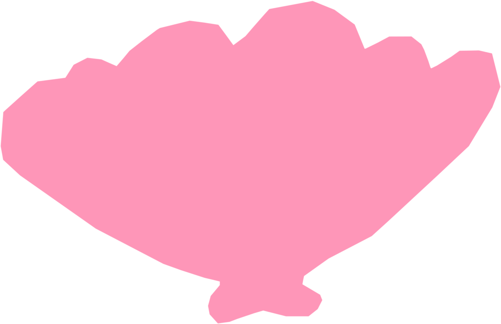 All Photo Png Clipart - Seashell Pink Png (1171x750), Png Download