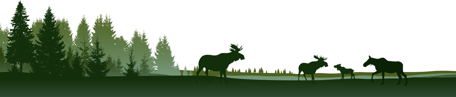 Grafisk Bild På Älgar Och Skog - Southwest Virginia Community College (1600x343), Png Download