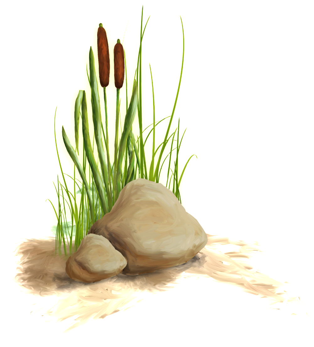 The Transparent Material Of The Flower And Grass In - Portable Network Graphics (1024x1289), Png Download