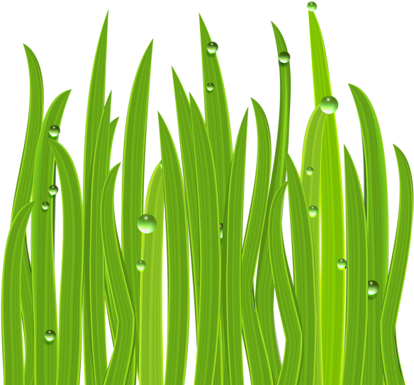 Grass Decor Png Clipart Image - การ ตู น หญ้า (600x569), Png Download